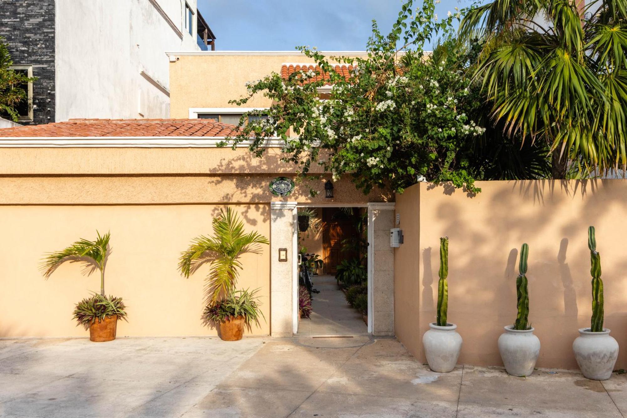 Magnifica Villa Palmeras Pok Ta Pok Zona Hotelera Cancún Zewnętrze zdjęcie